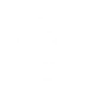 icoon